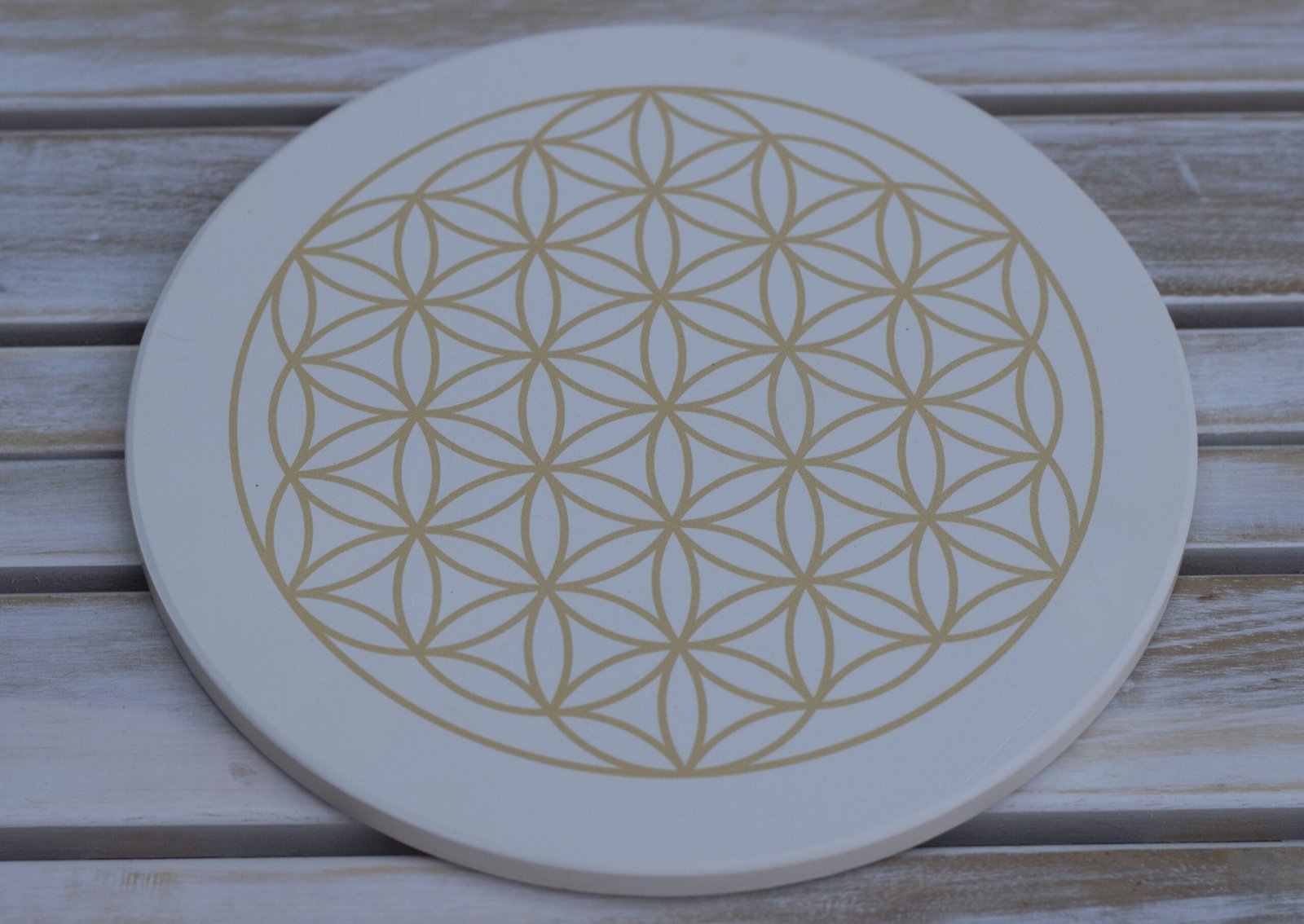 Topfuntersetzer small-greens small-greens Topfuntersetzer Kieselgur-Untersetzer 16 cm Durchmesser, Zubehör für Anzuchtgläser von small-green, Kieselgur Blume des