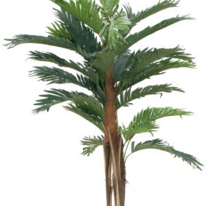 Europalms Kentia - 120 cm Arbres, plantes & fleurs