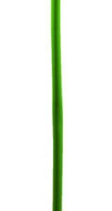 Arbres, plantes & fleurs Europalms Lavande – 55 cm