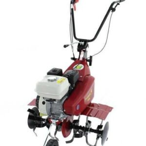 Outils de jardin à moteur Eurosystems Euro 5 EVOHonda GP 160 1+1