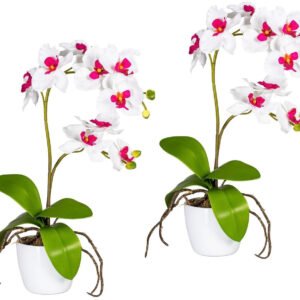 Gasper Phalaenopsis 60cm ceramic plant pot (2 pieces)33545131 Arbres, plantes & fleurs