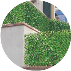 Homemaison Treillis feuilles de rosier 1m x 2m Clôtures et pare-vues