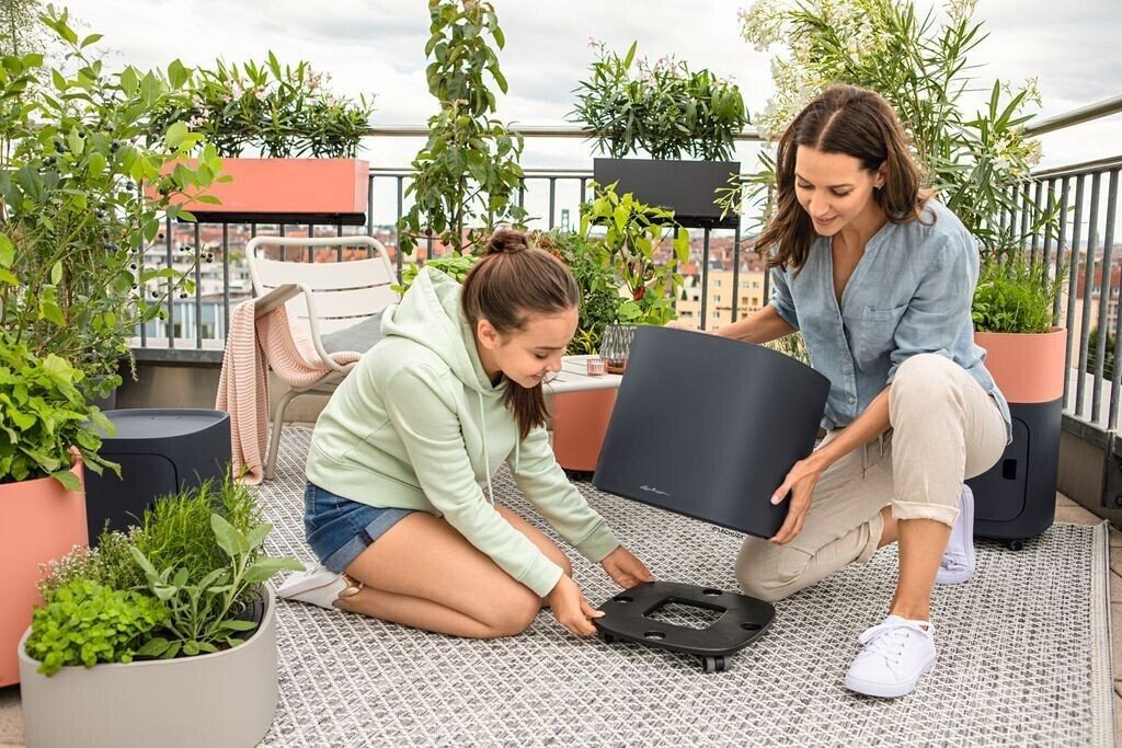 Accessoires pour plantes & fleurs Lechuza 15906