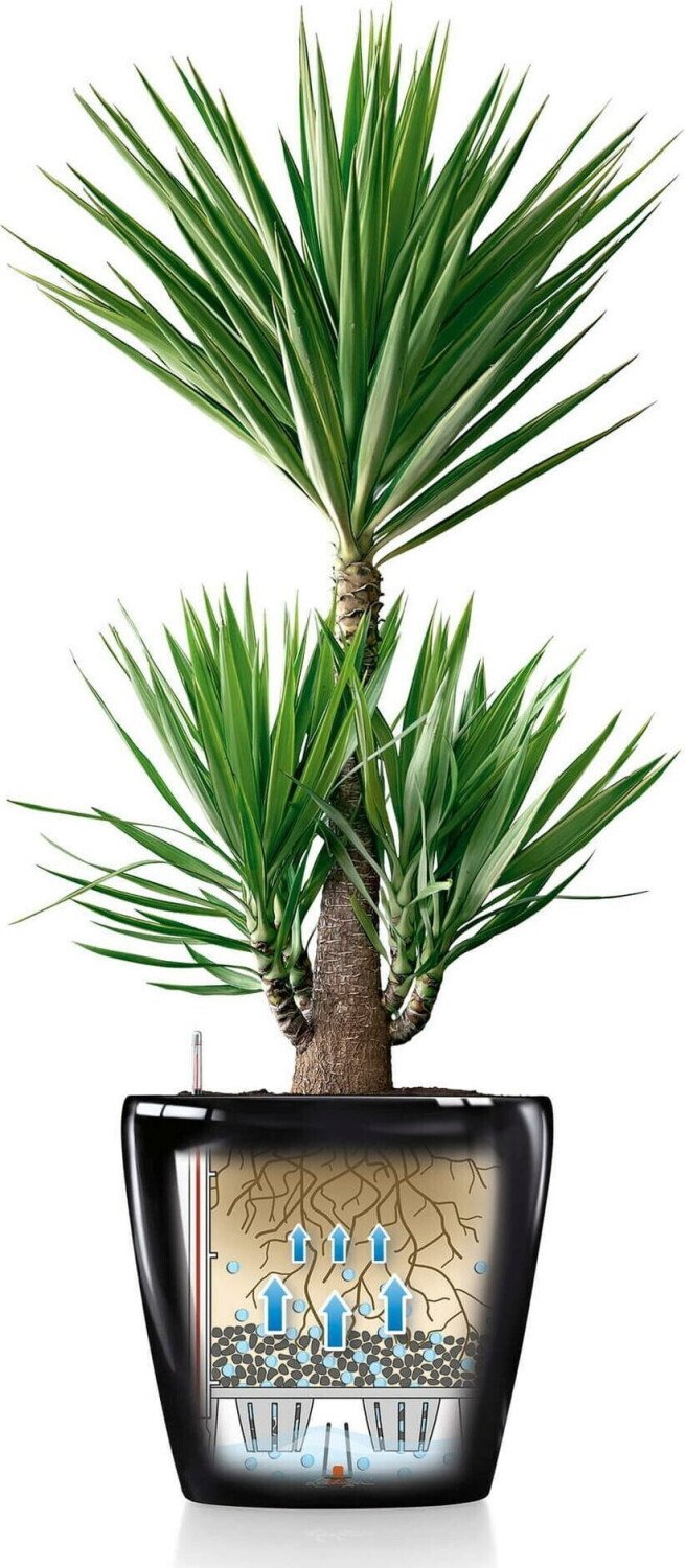 Accessoires pour plantes & fleurs Lechuza Classico Color 60red