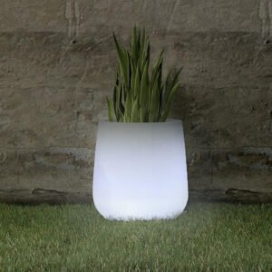 Accessoires pour plantes & fleurs Newgarden LUMCA040SSNW