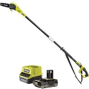 Outils de jardin à moteur Ryobi 18V ONE+ RPP182020 (with 1 battery 2 Ah an charger)