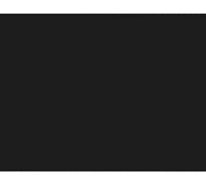 Clôtures et pare-vues vidaXL 313375