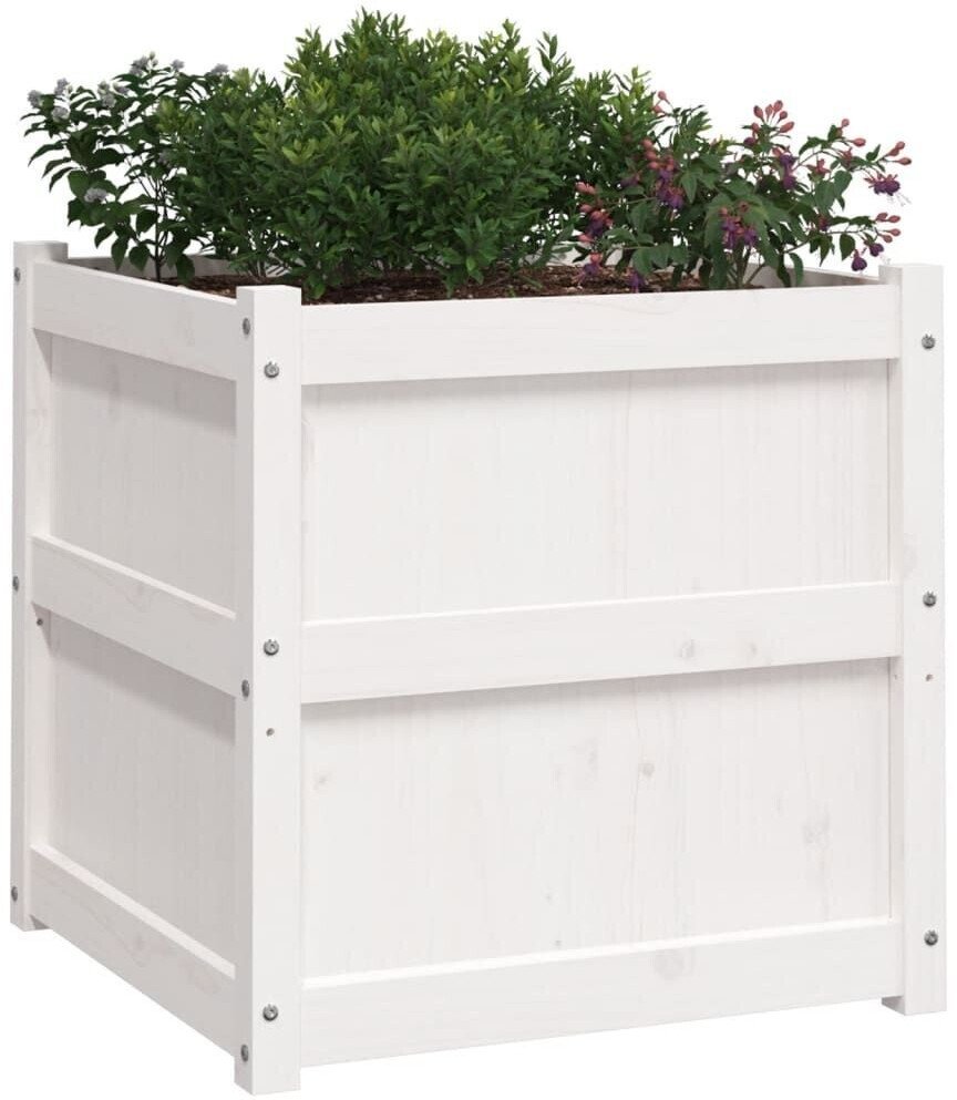 vidaXL Garden Planters 2 pcs 60 x 60 x 60 cm Solid Pine Woodwhite Accessoires pour plantes & fleurs