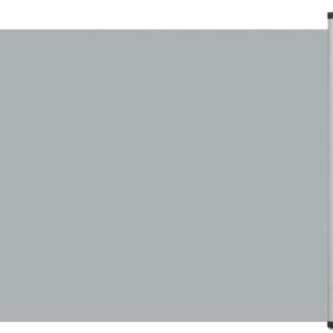 Clôtures et pare-vues vidaXL Side Awning 300 x 100 cmGrey