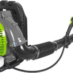 Vito Souffleur professionnel thermique Outils de jardin à moteur